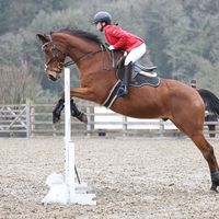 bethany_thomas_