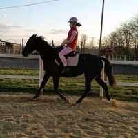 vivien.ksa4