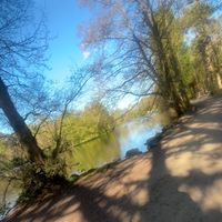 _frankie033