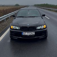 denis.77dnz