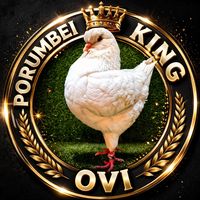 porumbeiking210