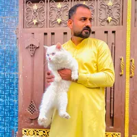 original sound - salmandogar.800004
