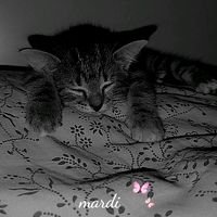 broken_heart_plr