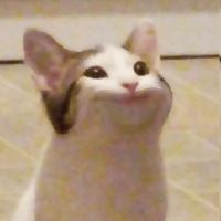 thefreakyhamster
