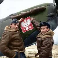 original sound - pzlenjoyer