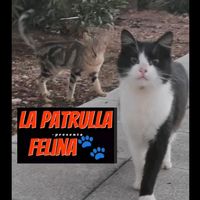 lapatrullafelina
