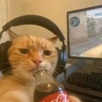Originalton