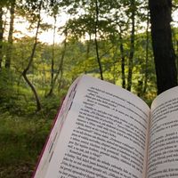 book._lover._