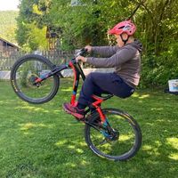 y_bikes