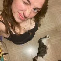 artattaccati
