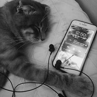 оригінальний звук