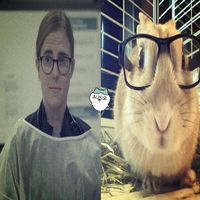chenfordsfy