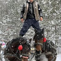 janosfarkas958