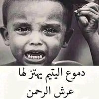 user5510549791312