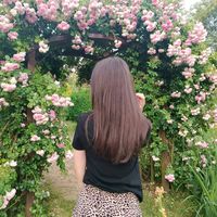 sunet original