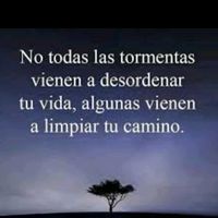 sonido original