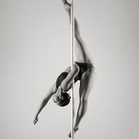 pole.avcixa