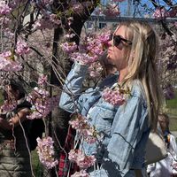 anastasija_2022