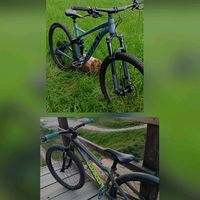 king_of_bikes2