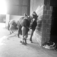 bryonybeanland6