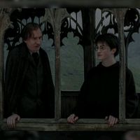 mr13potter