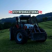 steyrfohrastorna
