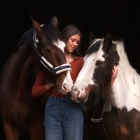 energetic.horses
