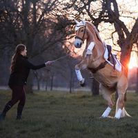 _noviderblondie_
