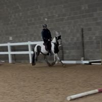 riding.with.katie.123