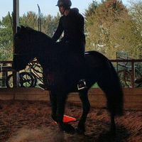 lucaaa.2010