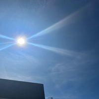 light_585