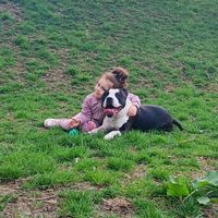 amstafftyson19