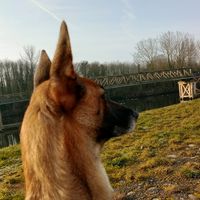 romy7714