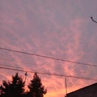 ionela_20_