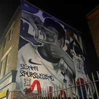 theotottenhamcoys