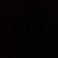 nils16488