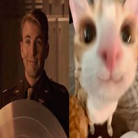 captainamericat