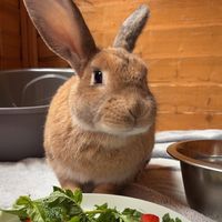 kayandthe.buns