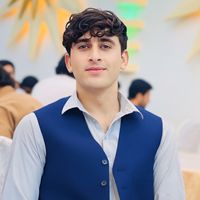 parasto_salimi