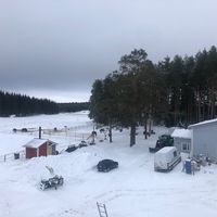 alkuperäinen ääni