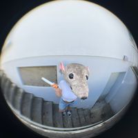 ratttisback