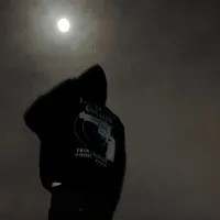 original sound - zaryonxx