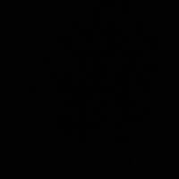 oryginalny dźwięk