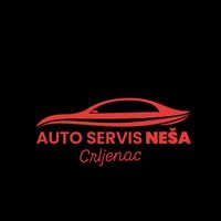 nesa_e60
