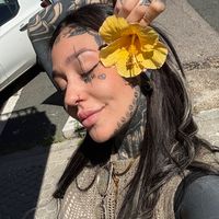 lil.ink2