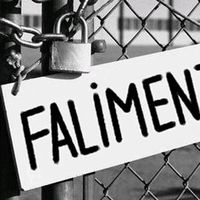 mr.faliment82