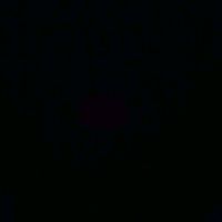 sin_fustee_