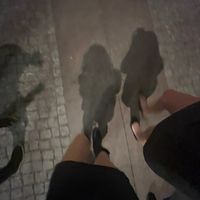 luna.selmavh