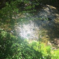 nature_overeverything