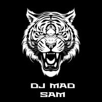 DIL KEHTA HA REMIX DJ MAD SAM